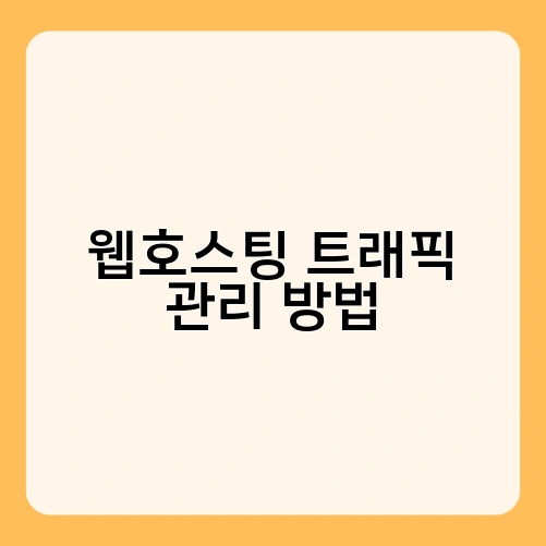 웹호스팅 트래픽 관리 방법 2