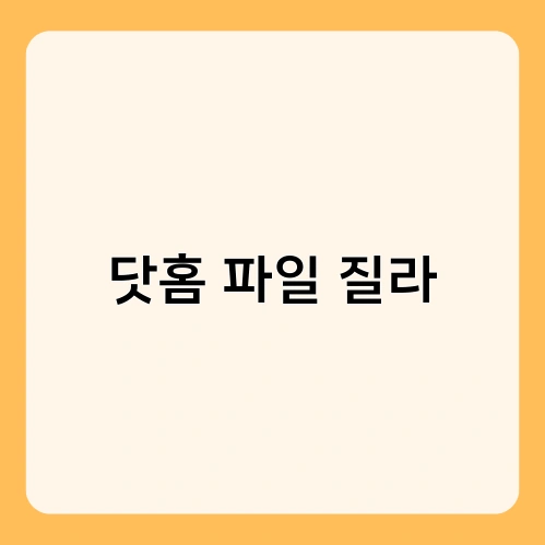 닷홈 파일 질라 2